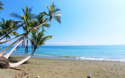 5 Reasons Why You Should Travel to Costa Rica